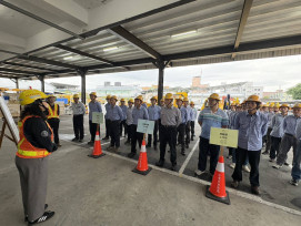 台電台東區處「驚蟄」強化配電韌性  強化樹修剪驅鳥防蛇鼠工作