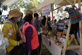 南分署古坑綠色隧道徵才 釋職缺逾1200