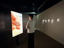 展開聲音與影像交織的感官冒險　府中15《影像變奏曲》特展正式登場