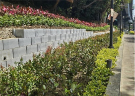 新北綠家園成果超有感　翻轉零碎空間成為城市小綠洲