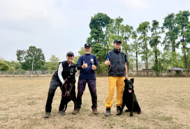 IRO國際搜救犬評量登場  高雄消防局警義消強強聯手創佳績