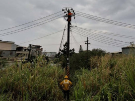雷雨襲擊礙子破損 台電人員鋸草開道力拼大樹區復電