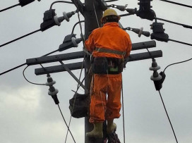 草叢中開出希望之路  台電全力搶修於16：47全數恢復供電