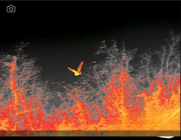 臺南市政府秉持「生態先行、永續共榮」原則推動產業園區規劃建設