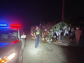 守護農民心血 枋寮分局啟動全天候護芒行動