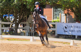 桃園首屆國際馬術節登場　王明鉅期盼以國際交流推廣馬術運動
