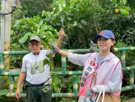 新北企業員工擔任賞蝶步道維護志工　實踐生態保育，「環」給蝴蝶一個家