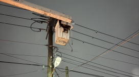 米克拉攪局！台電冒雨搶修小港及仁武皆已迅速恢復供電