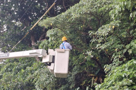 強颱巴威逼近 台電台東區處全面戒備籲善用APP查停復電