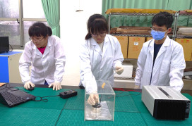 全國科展即將登場　新北近300位師生完成七階段培訓