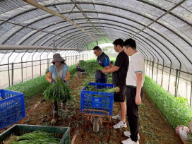 嚴防強颱「巴威」來襲 桃園全面整備農漁防災 蔬菜滾動倉儲95公噸待命