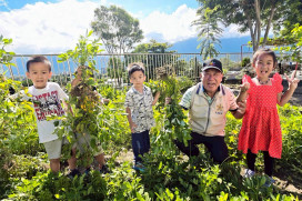 花蓮榮家老幼共融採花生 分享田園豐收喜悅    