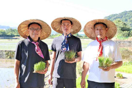 2026關西彩繪稻田「出動稻關西」開跑！　攜手波力小英雄打造大地彩繪畫布