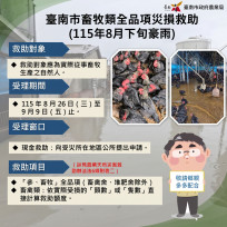 臺南豪雨造成畜牧災損　農業部公告現金救助8月26日起受理