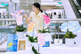 新竹大遠百「蘭境」優雅亮相　台灣蝴蝶蘭結合獨特奈米噴染技術與現代花藝設計