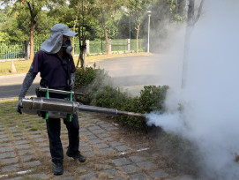 高雄登革熱新增3例！菲籍移工、越南學生返台染疫
