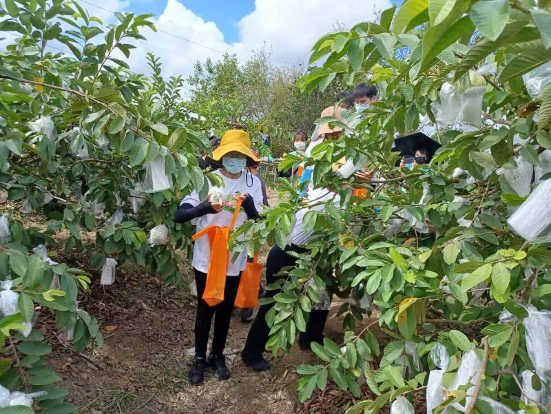 老青少食農教育交流互動  黃偉哲邀請全體市民一起體驗推廣