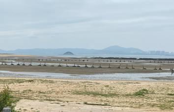 即日限額網路報名 金門特色海洋生物×海岸戰地文化環境教育走讀 