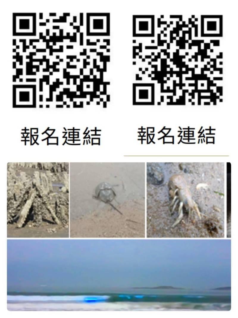 即日限額網路報名 金門特色海洋生物×海岸戰地文化環境教育走讀 