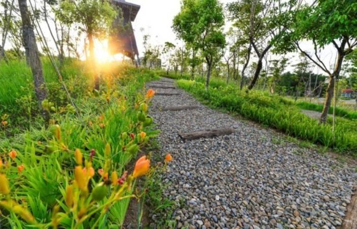 大湳森林公園開園啓用 打造生態永續的都會型森林公園