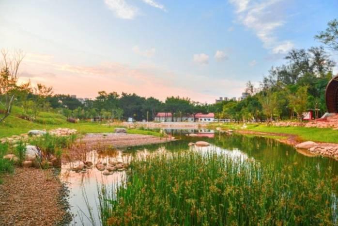 大湳森林公園開園啓用 打造生態永續的都會型森林公園