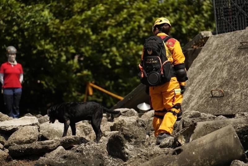 搜救犬英雄「鐵雄」、「腿腿」光榮退役   消防局長感謝為救災貢獻