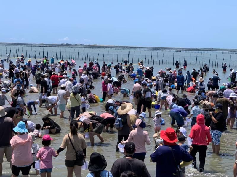 親子最愛的觀光赤嘴園挖文蛤體驗又來囉