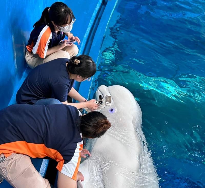 屏東海生館解密重量級生物眼睛健康檢查 守護靈魂之窗