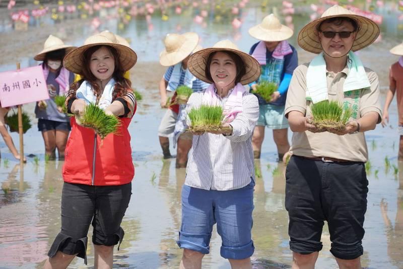 屏東南州彩稻種出海底世界 國慶雙十揭神秘面紗 