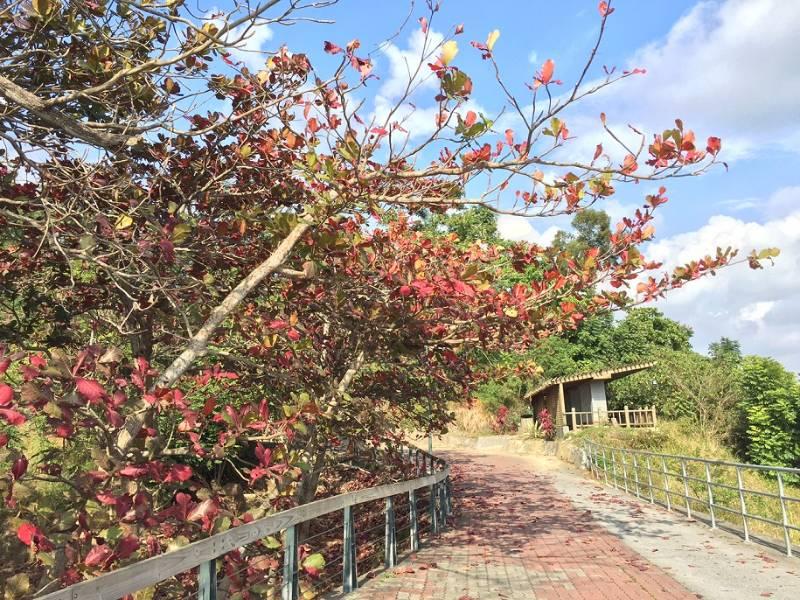 中秋連假遊虎埤，9/29~10/1生日壽星免費入園