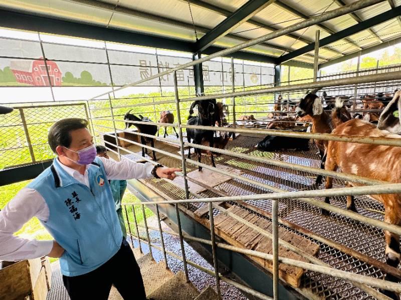 青農經營風車畜牧場羊肉品牌有成 陳福海：持續整合培育青年創業