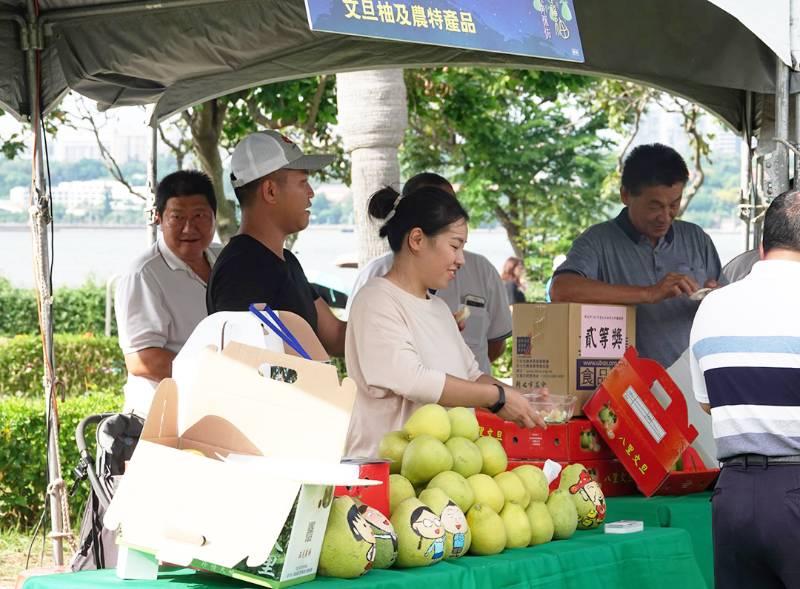 新北文旦食農教育 闖關拿好康