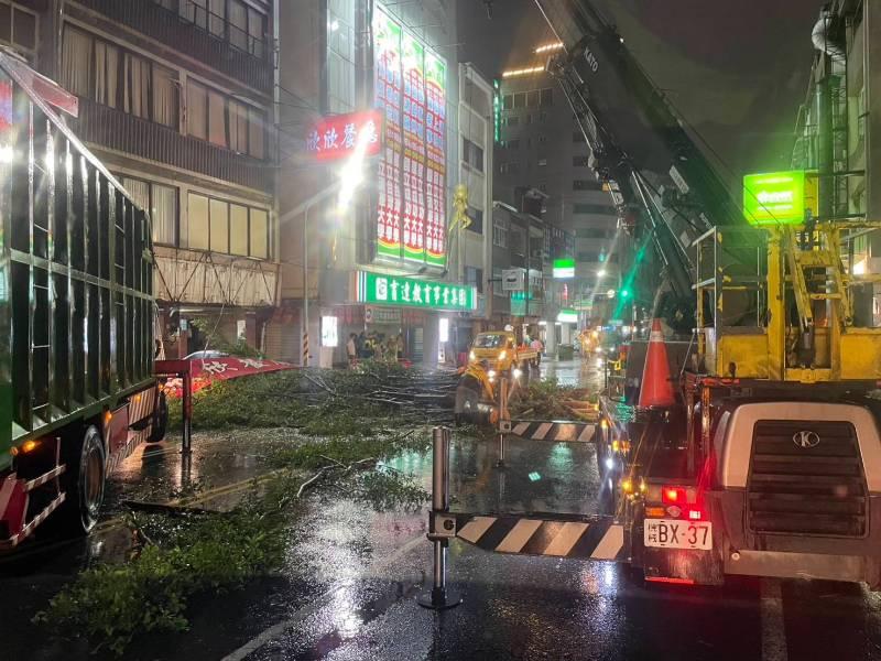 海葵颱風帶來強風造成行道樹倒塌 工務局全力處理 排除交通障礙維護安全