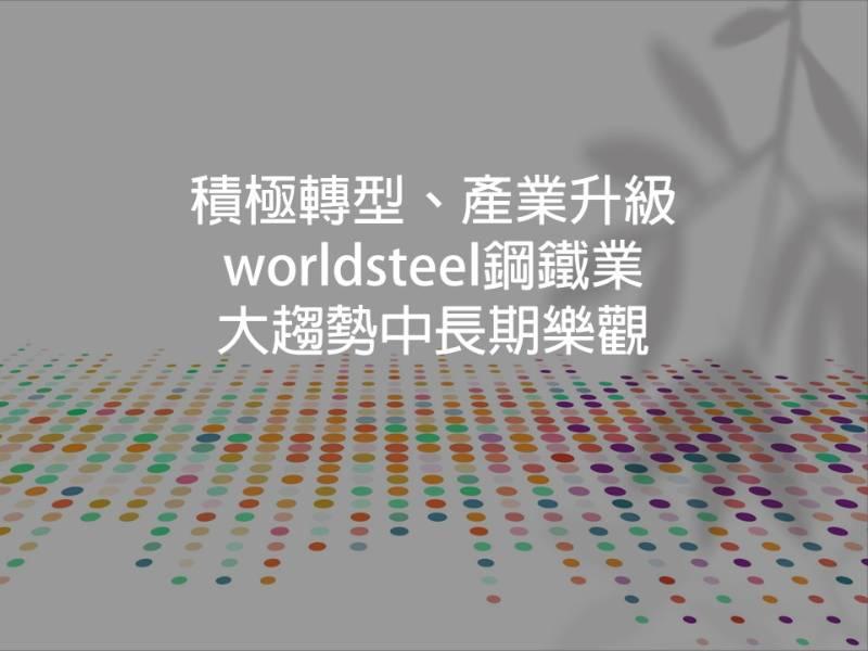 OECD舉辦的鋼鐵論壇 預期鋼鐵業趨向榮景  積極因應未來挑戰