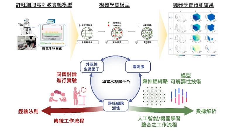 興大跨國團隊開發機器智慧學習細胞晶片整合平台  登國際期刊