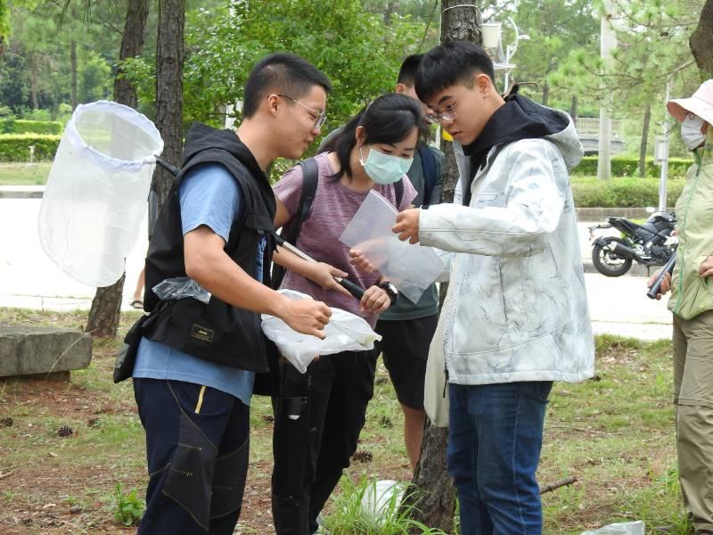 金門大學浯洲書院環教 校園昆蟲採集