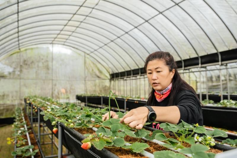 國際農村婦女日 新北女力點燃農村活力