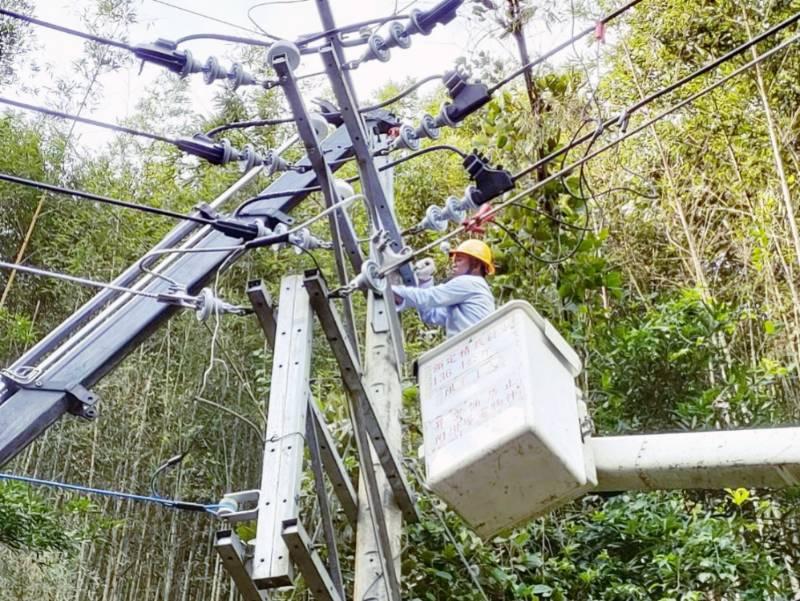 中度颱風「小犬」強風發威　台電新竹區處動員逾百工程人員搶修力拚今晚全部復電