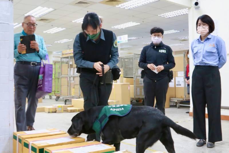 防新型非洲豬瘟入境 臺南市長黃偉哲視察臺南郵件處理中心