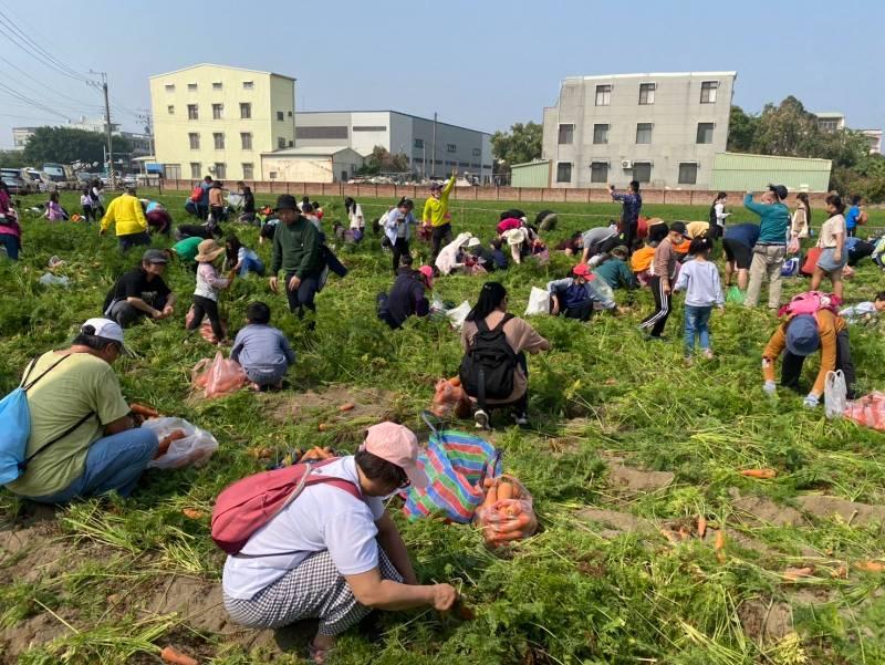 2024將軍區紅蘿蔔木棉爭鮮搶豔同樂會