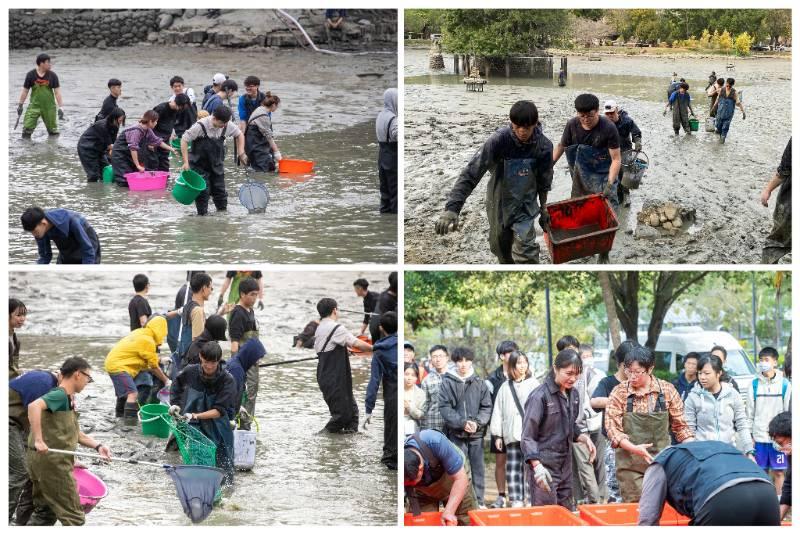 中興湖大規模清池   同步啟動人工湖環境生態教育