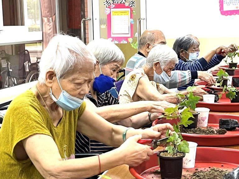 雲林榮家與農試所合作　探索園藝自然輔療力量