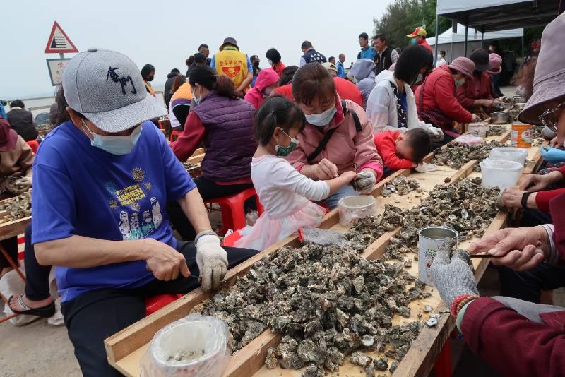 石蚵文化季千人剝蚵 古寧頭北山海堤4/27登場