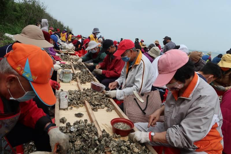 金門金寧石蚵文化季 4/27千人剝蚵北山出海口海堤火熱搶鮮體驗