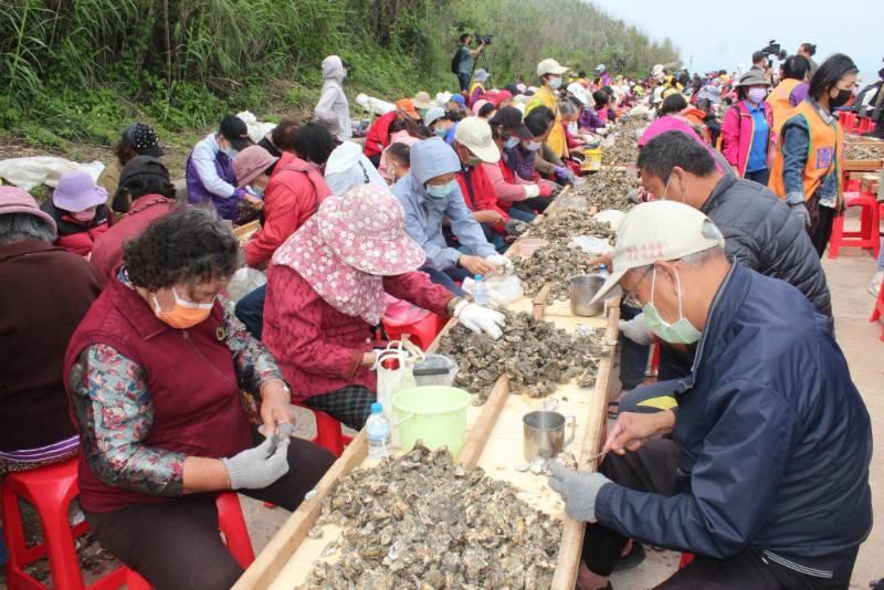 金門金寧石蚵文化季 4/27千人剝蚵北山出海口海堤火熱搶鮮體驗