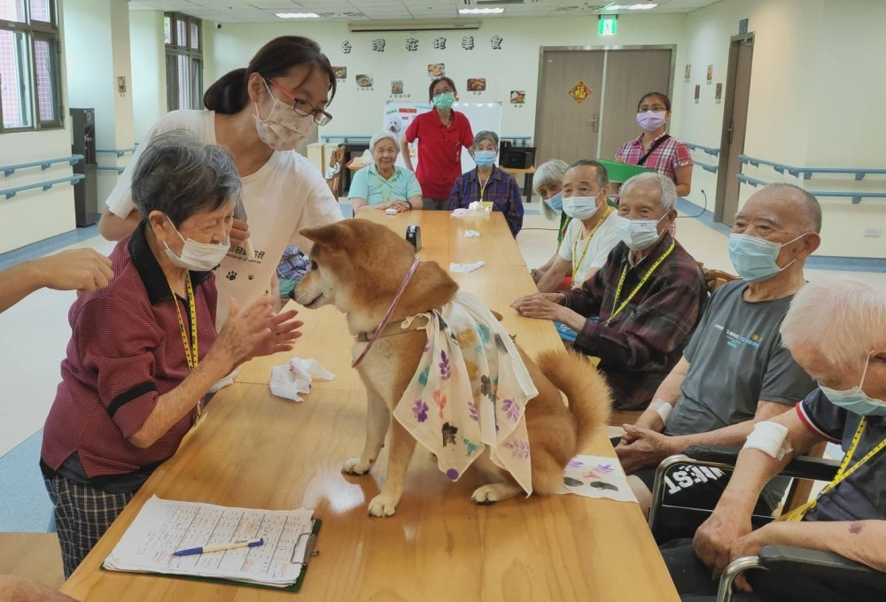 響應國家失智症月 彰化榮家導入動物輔助照護失智住民長輩