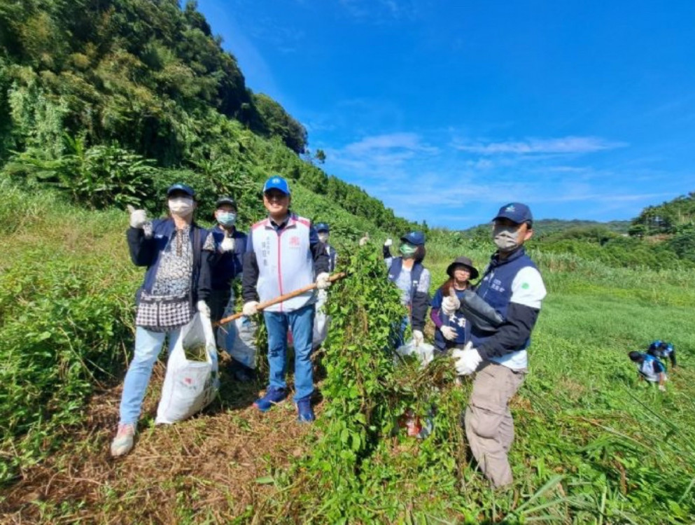 移除綠色殺手小花蔓澤蘭 桃園除蔓日邀市民攜手護家園