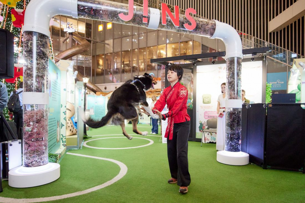 「JINS動物友好樂園」最終站台中登場   副市長鄭照新：公私協力打造友善動物城市