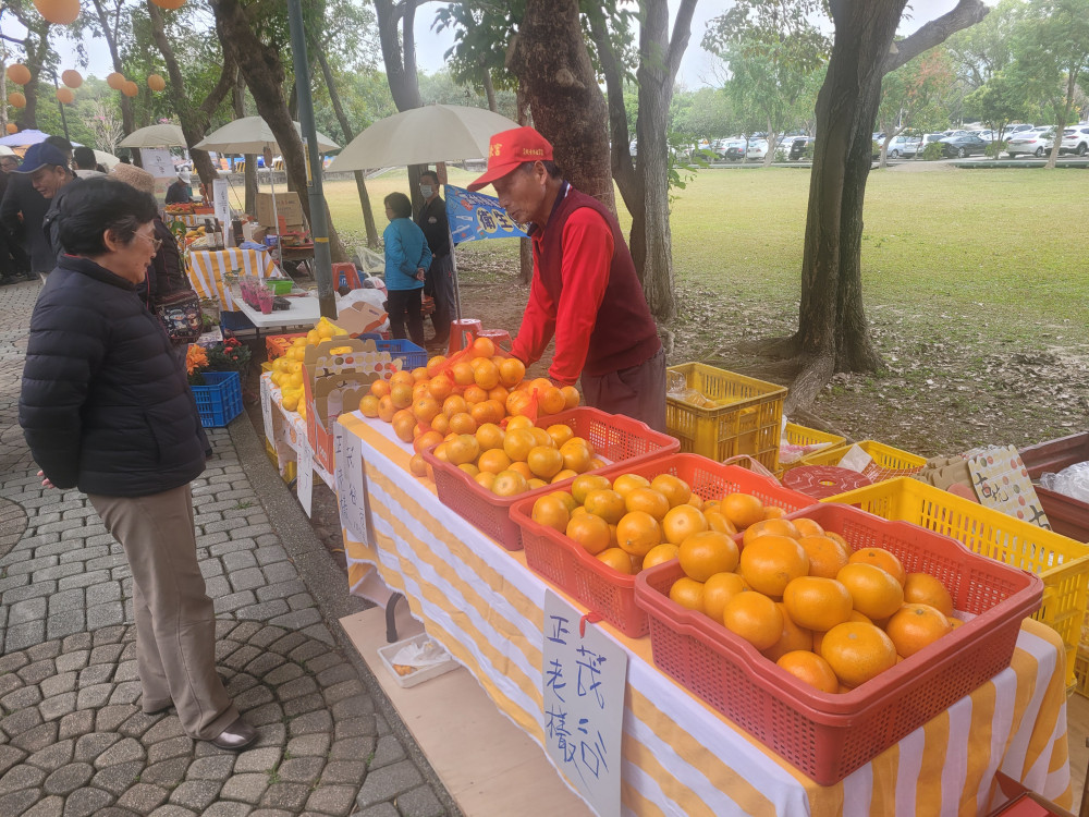 古坑茂谷柑節喜氣登場　歲末特色市集祈福迎新