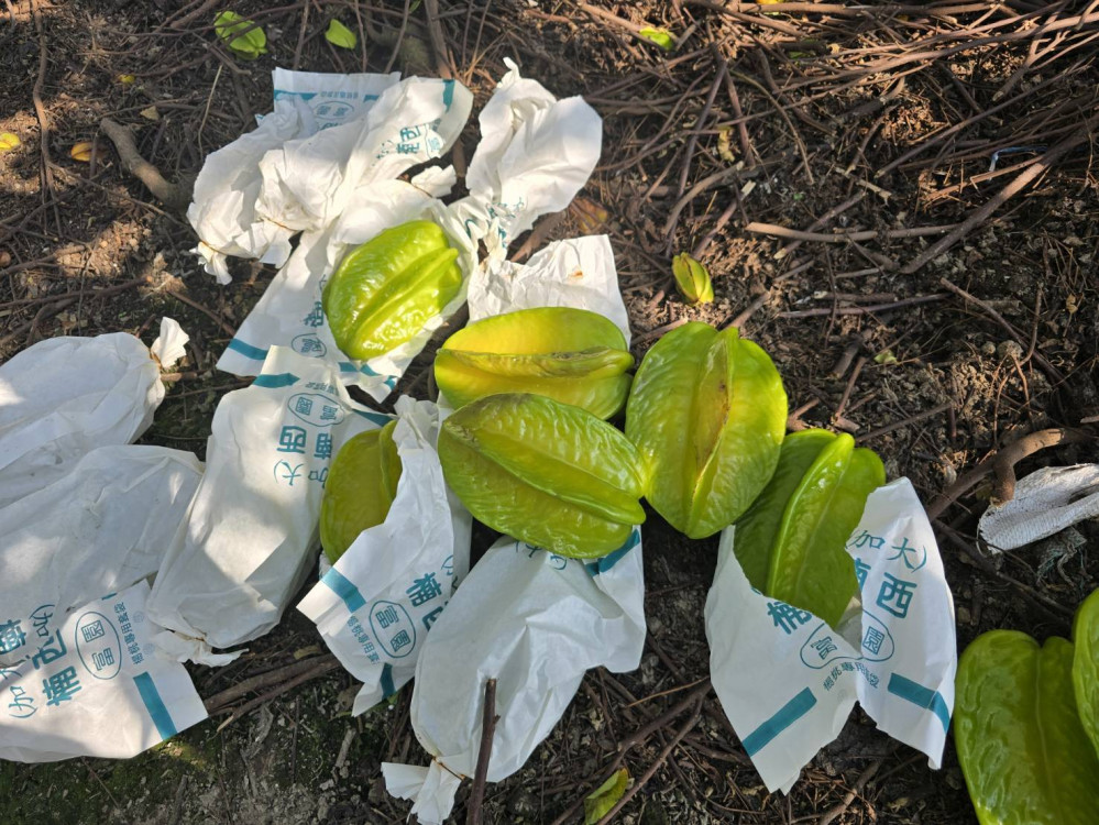 地震農作物天然災害救助，臺南市已全數核撥